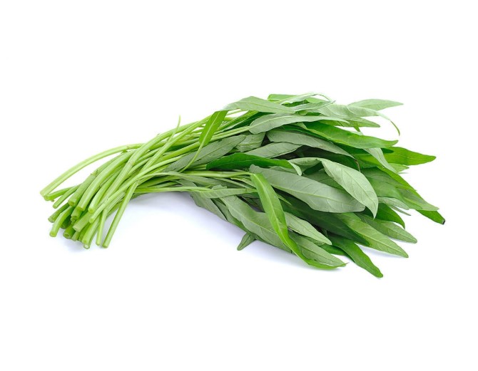 深圳新鲜蔬菜配送服务-速...