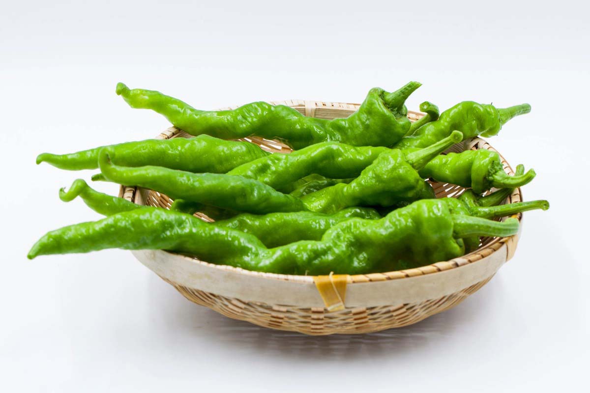 食材云端配送，品质一路保...