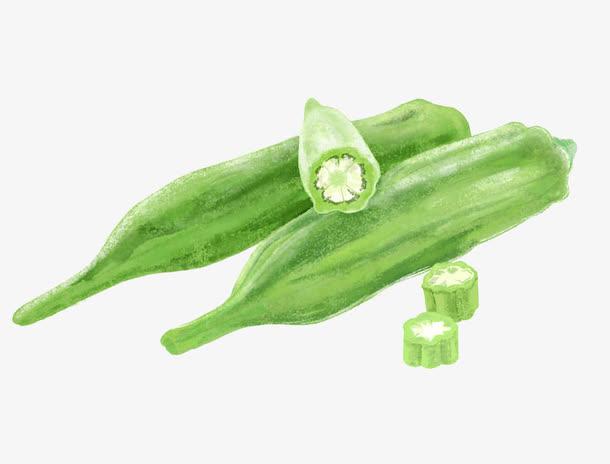 深圳蔬菜配送，新鲜速递到...